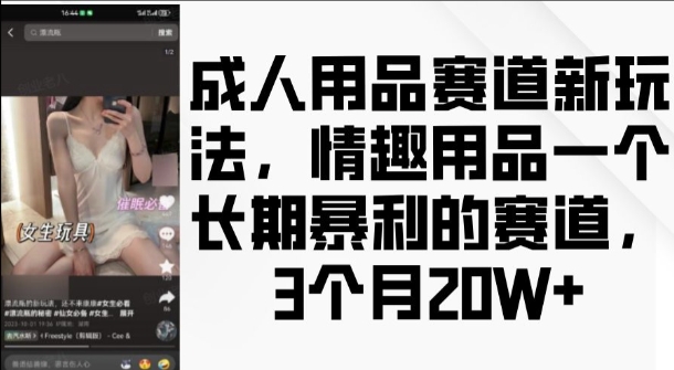 成人用品赛道新玩法，情趣用品一个长期暴利的赛道，3个月收益20个【揭秘】-520资源库