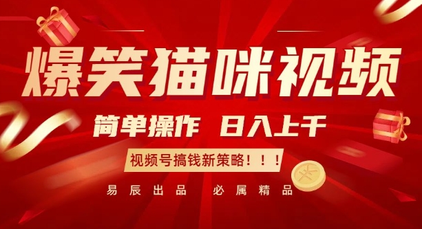 爆笑猫咪视频：简单操作，日入过K，视频号搞钱新策略【揭秘】-520资源库
