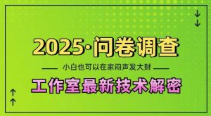 2025问卷调查最新工作室技术解密：一个人在家也可以闷声发大财，小白一天2张，可矩阵放大【揭秘】-520资源库