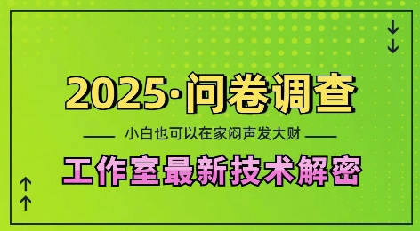 2025问卷调查最新工作室技术解密：一个人在家也可以闷声发大财，小白一天2张，可矩阵放大【揭秘】-520资源库