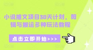 小说推文项目38天计划，剪辑与搬运多种玩法教程-520资源库