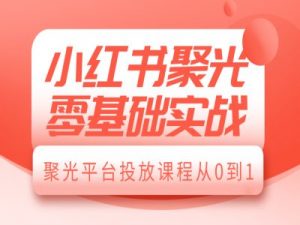 小红书聚光零基础实战，聚光平台投放课程从0到1-520资源库