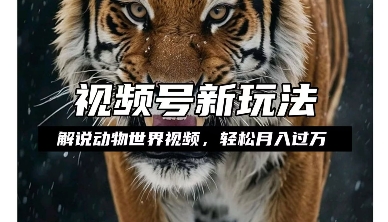 利用动物世界解说视频，赚分成计划收益，轻松月入过W，操作简单【揭秘】-520资源库