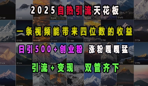 2025自热引流天花板，一条视频能带来四位数的收益，引流+变现双管齐下，日引500+创业粉，涨粉嘎嘎猛-520资源库