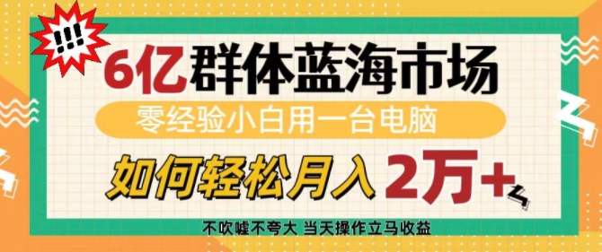 6亿群体蓝海市场,零经验小白用一台电脑,如何轻松月入过w【揭秘】-520资源库