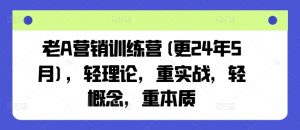 老A营销训练营(更24年12月),轻理论,重实战,轻概念,重本质-520资源库