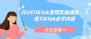 2024TikTok变现实操课程，入局TikTok必学内容-520资源库
