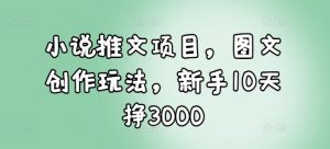 小说推文项目，图文创作玩法，新手10天挣3000-520资源库