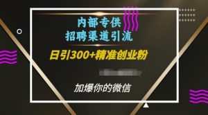 内部招聘渠道日引流300+创业粉，加爆你的微信【揭秘】-520资源库