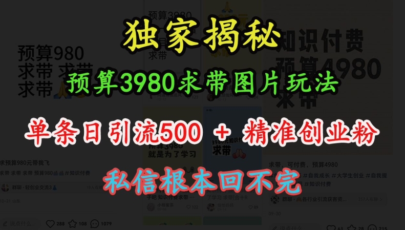 预算3980求带 图片玩法，单条日引流500+精准创业粉，私信根本回不完-520资源库