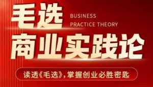 毛选商业实践论，读透《毛选》掌握创业必胜密匙-520资源库