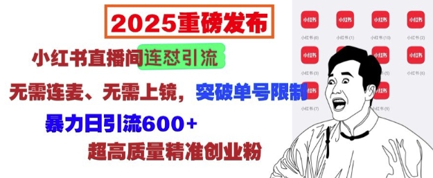 2025重磅发布：小红书直播间连怼引流，无需连麦、无需上镜，突破单号限制，暴力日引流600+-520资源库