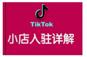 TikTok跨境小店运营全攻略，帮助你独立运营TK跨境小店的能力，实现销量增长-520资源库