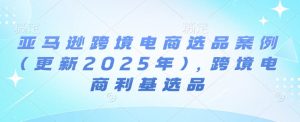 亚马逊跨境电商选品案例(更新2025年),跨境电商利基选品-520资源库