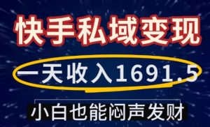 一天收入1691.5，快手私域变现，小白也能闷声发财-520资源库