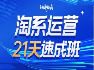 淘系运营21天速成班35期，年前最后一波和2025方向-520资源库