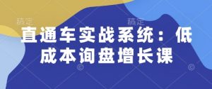 直通车实战系统：低成本询盘增长课，让个人通过技能实现升职加薪，让企业低成本获客，订单源源不断-520资源库