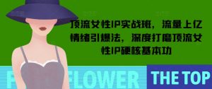 顶流女性IP实战班，流量上亿情绪引爆法，深度打磨顶流女性IP硬核基本功-520资源库