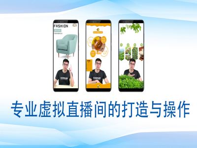 个人虚拟直播间的搭建与操作，专业虚拟直播间的打造与操作-520资源库