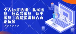 个人ip打造课,私域运营,公众号运营,知乎运营,底层逻辑和方向定位等-520资源库