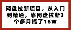 网盘拉新项目，从入门到精通，靠网盘拉新3个多月搞了16W-520资源库
