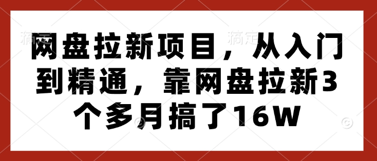 网盘拉新项目，从入门到精通，靠网盘拉新3个多月搞了16W-520资源库