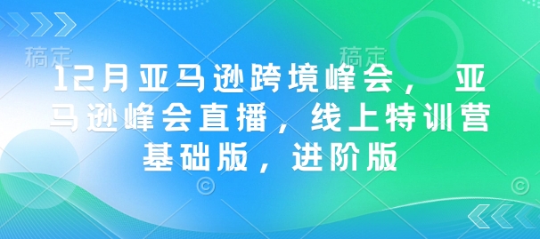 12月亚马逊跨境峰会, 亚马逊峰会直播,线上特训营基础版,进阶版-520资源库