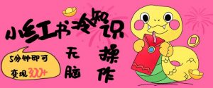 小红书冷知识账号，无脑复制粘贴，5分钟即可变现3张-520资源库