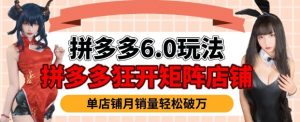 拼多多虚拟商品暴利6.0玩法，轻松实现月入过W-520资源库