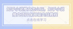 知乎小说推文怎么玩，知乎小说推文项目保姆级实战教程-520资源库