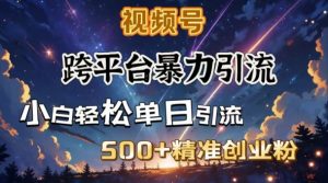 跨平台暴力引流，私域完美闭环，日引500+精准创业粉-520资源库
