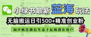小绿书无脑搬运引流，全自动日引500精准创业粉，微信生态内又一个闷声发财的机会-520资源库