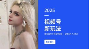 搬运老外奇葩视频，撸视频号分成计划收益，每天只需一小时，新手小白轻松月入过W-520资源库