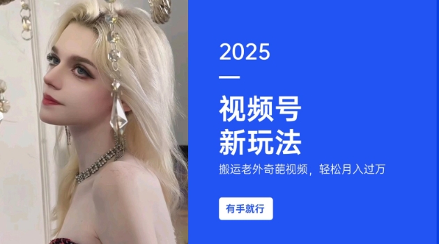 搬运老外奇葩视频，撸视频号分成计划收益，每天只需一小时，新手小白轻松月入过W-520资源库