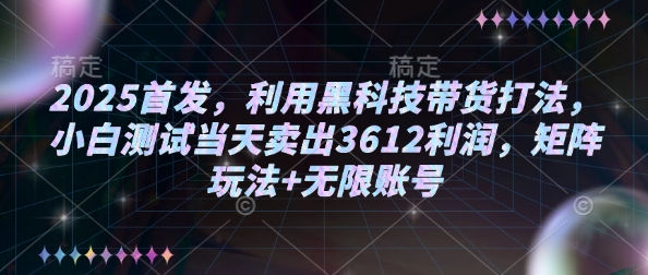 2025首发，利用黑科技带货打法，小白测试当天卖出3612利润，矩阵玩法+无限账号【揭秘】-520资源库