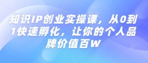 知识IP创业实操课，从0到1快速孵化，让你的个人品牌价值百W-520资源库
