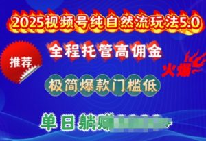 2025视频号纯自然流玩法5.0，全程托管高佣金，极简爆款门槛低，单日收益多张【揭秘】-520资源库