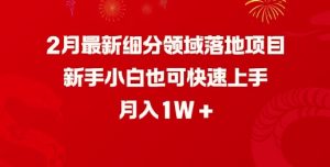 2月最新细分领域落地项目，新手小白也可快速上手，月入1W-520资源库