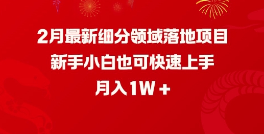 2月最新细分领域落地项目，新手小白也可快速上手，月入1W-520资源库