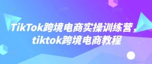 TikTok跨境电商实操训练营，tiktok跨境电商教程-520资源库