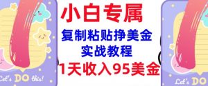 复制粘贴挣美金，0门槛，1天收入95美刀，3分钟学会，内部教程(首次公开)-520资源库