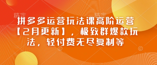 拼多多运营玩法课高阶运营【2月更新】，极致群爆款玩法，轻付费无尽复制等-520资源库