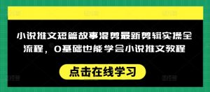 小说推文短篇故事混剪最新剪辑实操全流程，0基础也能学会小说推文教程，肯干多发日入多张-520资源库