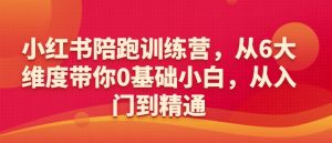小红书陪跑训练营，从6大维度带你0基础小白，从入门到精通-520资源库