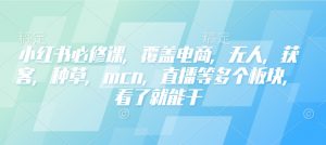 小红书必修课,覆盖电商,无人,获客,种草,mcn,直播等多个板块,看了就能干-520资源库