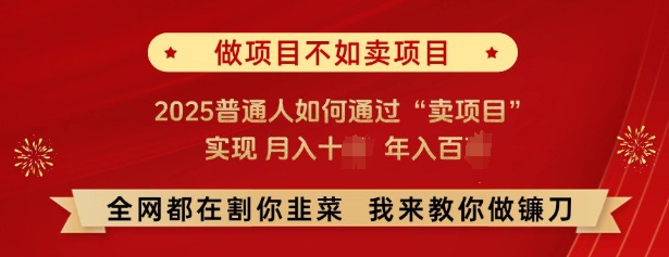 必看，做项目不如卖项目，2025普通人如何通过“卖项目”实现月入十个，年入百个-520资源库