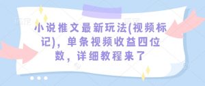 小说推文最新玩法(视频标记)，单条视频收益四位数，详细教程来了-520资源库