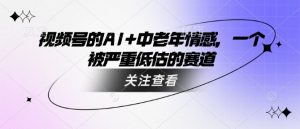 视频号的AI+中老年情感，一个被严重低估的赛道-520资源库