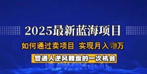 2025蓝海项目，普通人如何通过卖项目，实现月入过W，全过程【揭秘】-520资源库