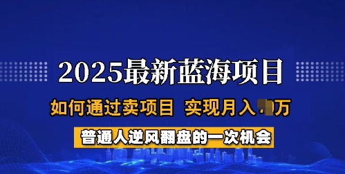 2025蓝海项目，普通人如何通过卖项目，实现月入过W，全过程【揭秘】-520资源库